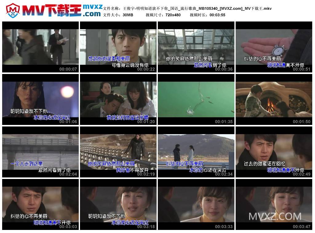 王俊宇-明明知道放不下你_国语_流行歌曲_MB105340